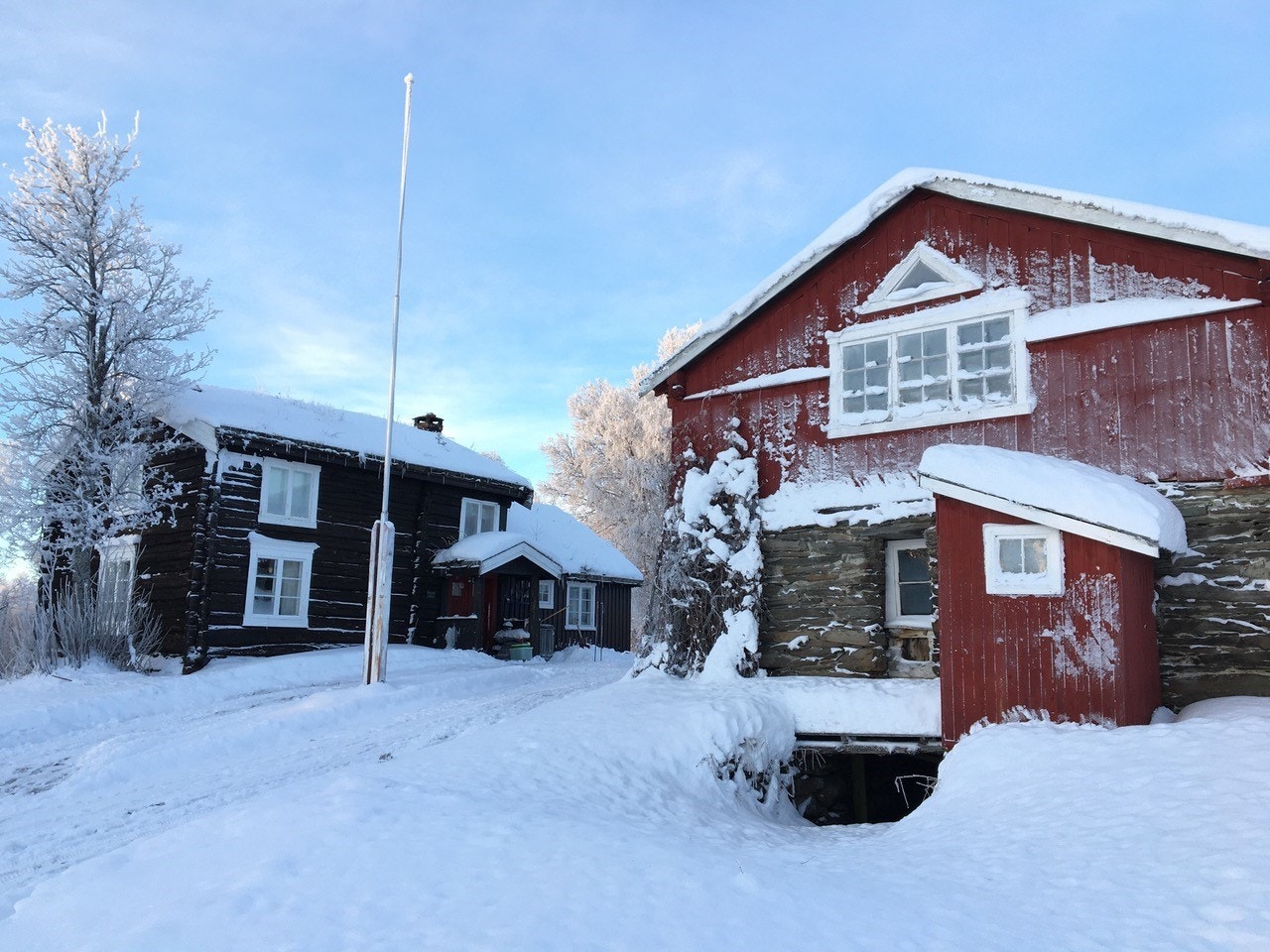 Selgers egne bilder. Galleribilde