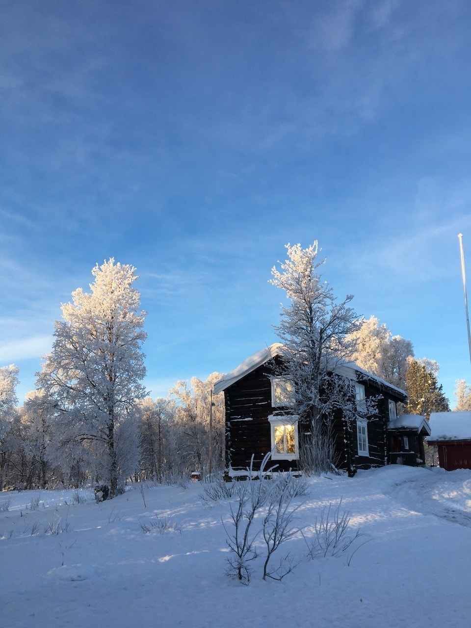 Selgers egne bilder. Galleribilde