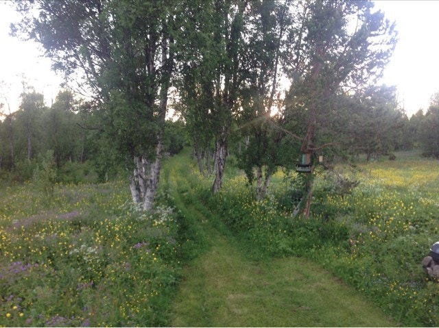 Kjerreveien fra tunet opp mot bl.a. stenfjøset. Følger man denne noen hundre meter til kommer man til Langbergsveien som er den gamle gruveveien opp mot Storwartz. Galleribilde