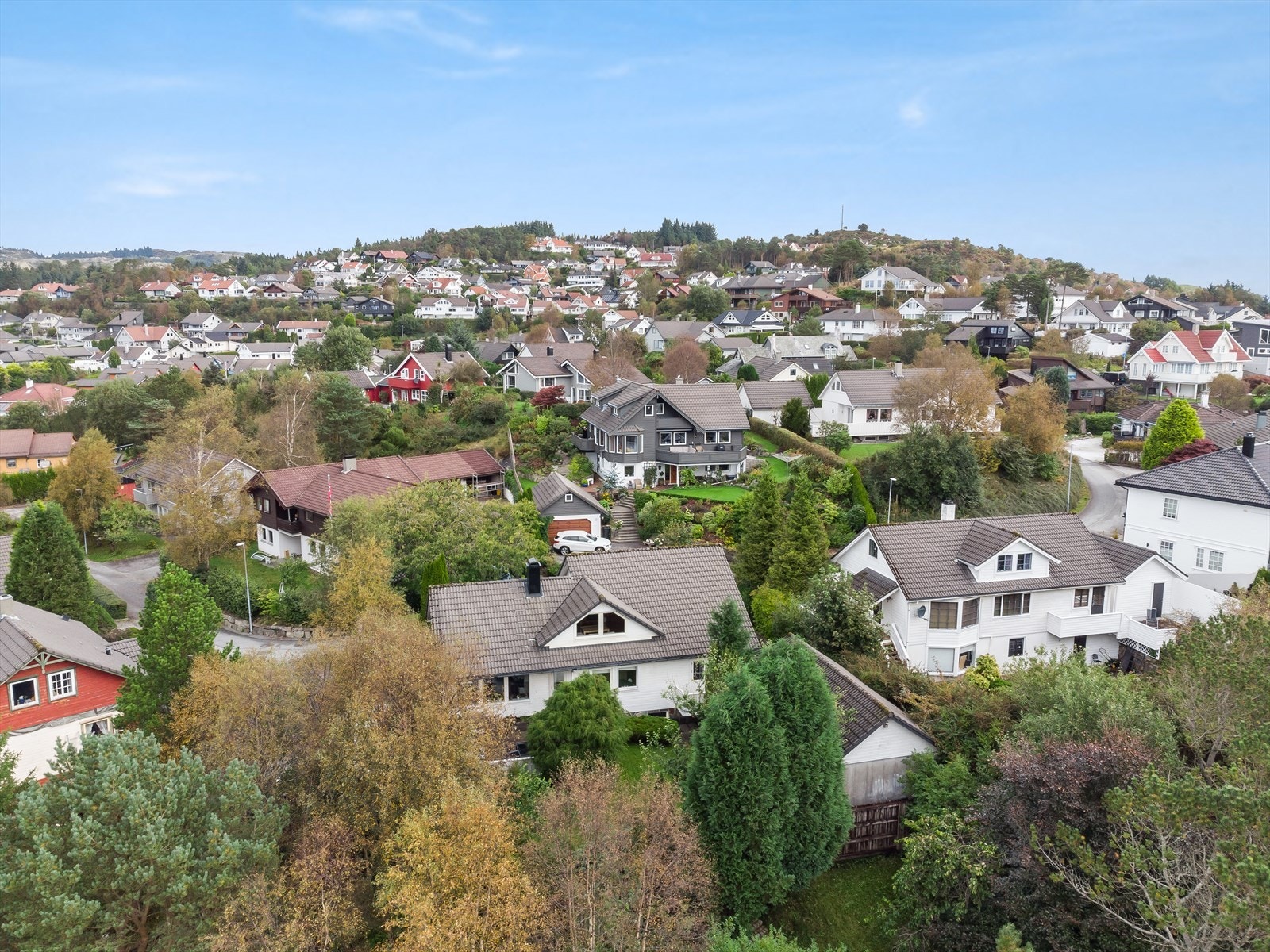 Nærområde Galleribilde
