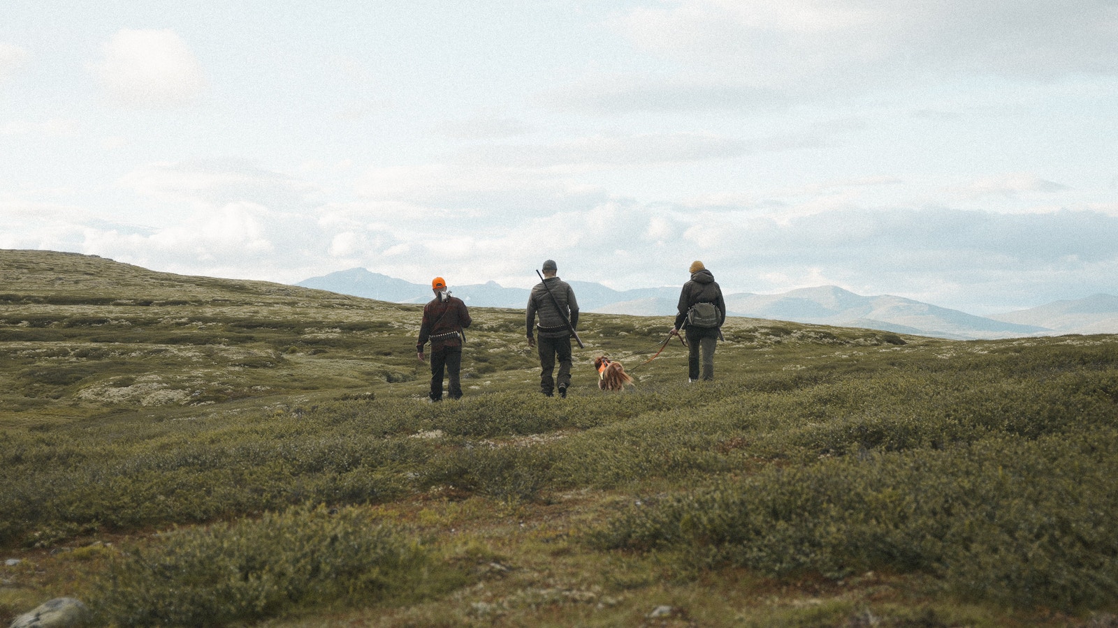 Fint jaktterreng med Rondane i bakgrunn Galleribilde