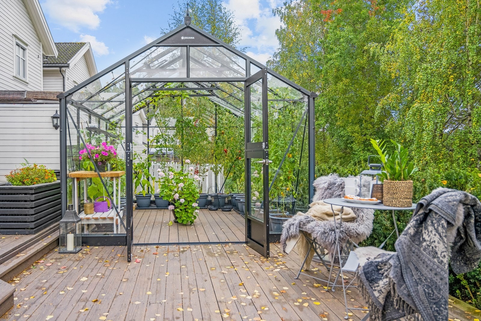 Kjekt å dyrke forskjellige planter og grønnsaker. Galleribilde