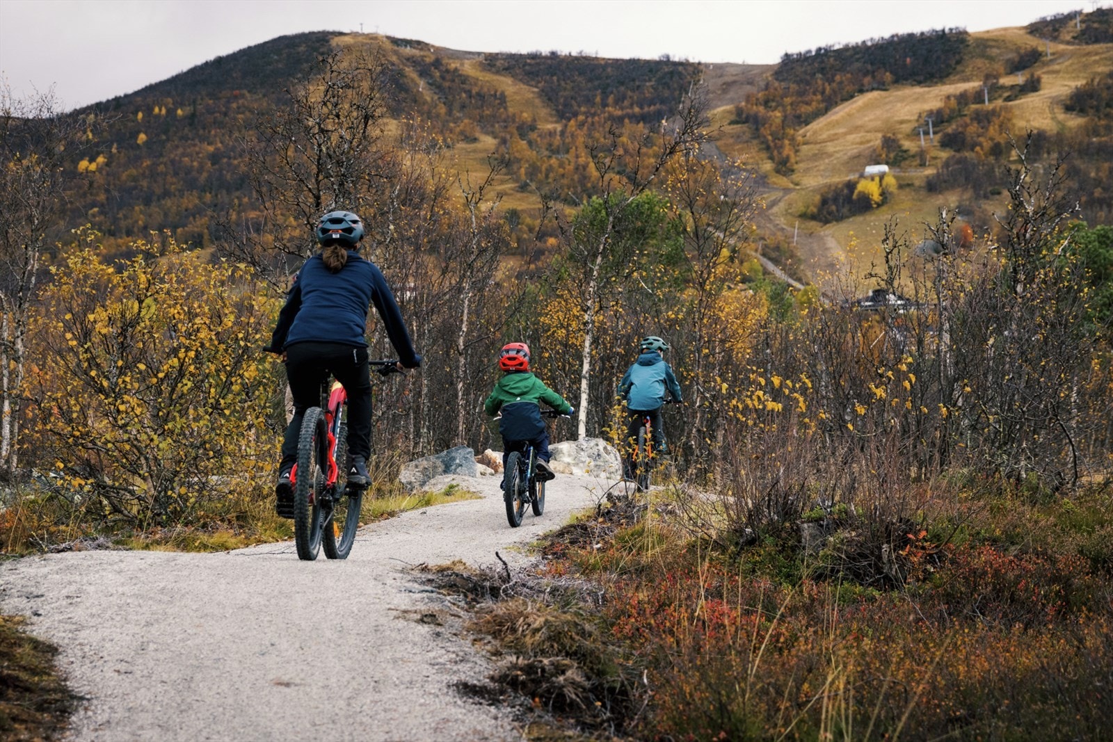 Foto: Paul Lockheart Galleribilde