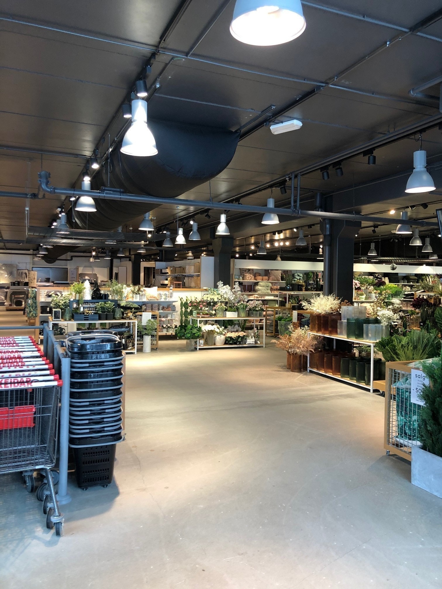 Flott design, slipt betonggulv Galleribilde