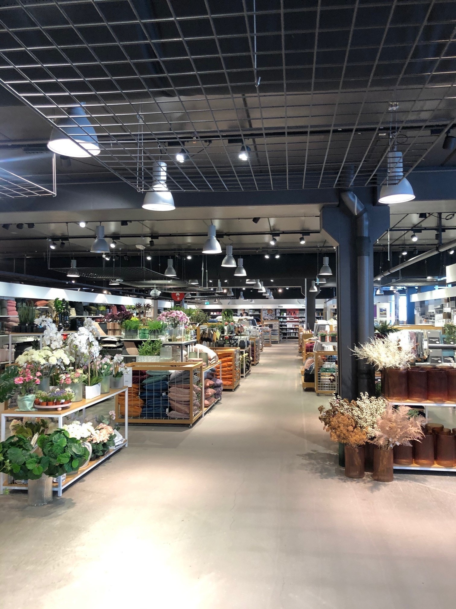 Åpent og innbydende Galleribilde