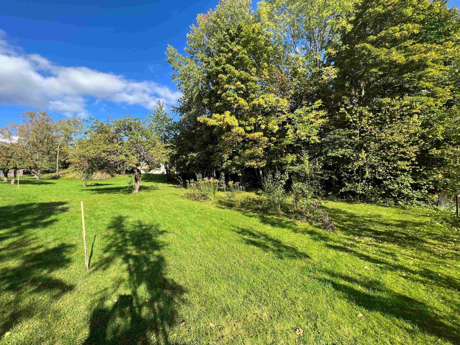 1 231 kvm boligtomt i trafikkstille blindvei på Tanum
Hjørner på tomten er midlertidig markert med med ca plassering Galleribilde