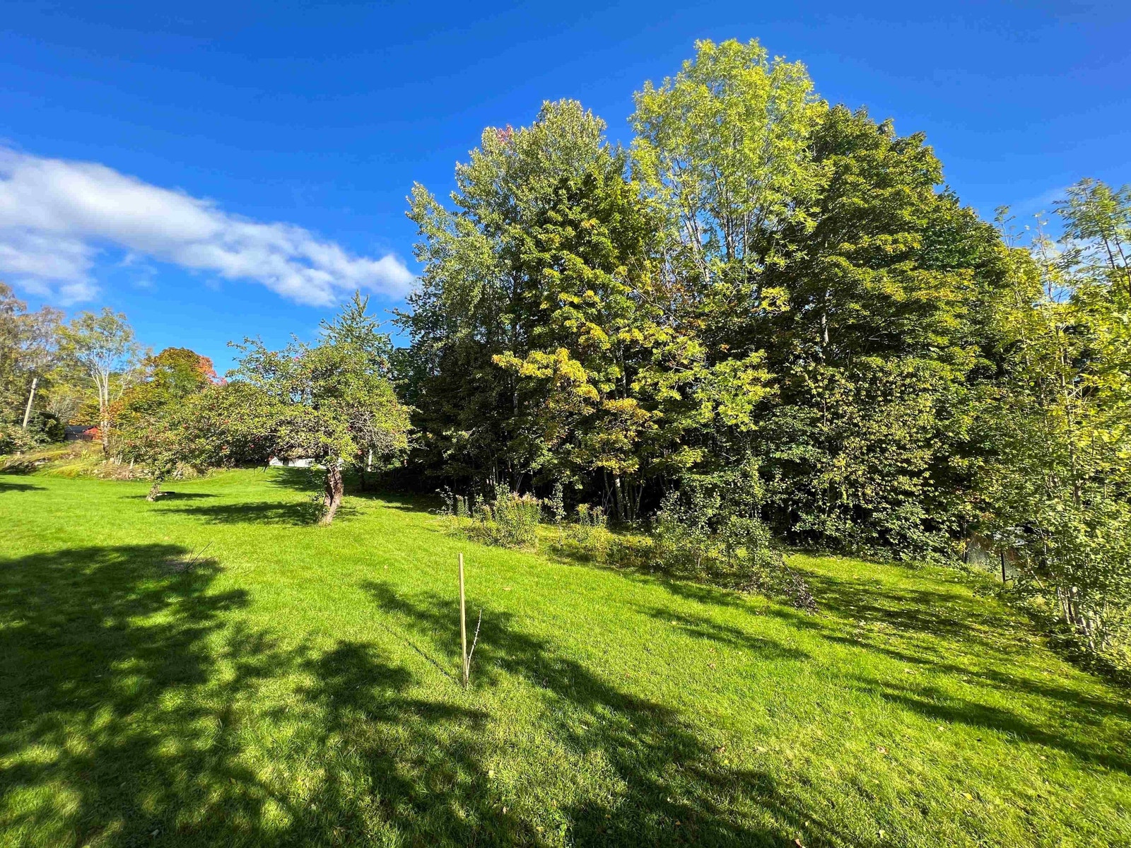 1 231 kvm boligtomt i trafikkstille blindvei på Tanum. Hjørner på tomten er midlertidig markert med med ca plassering Galleribilde