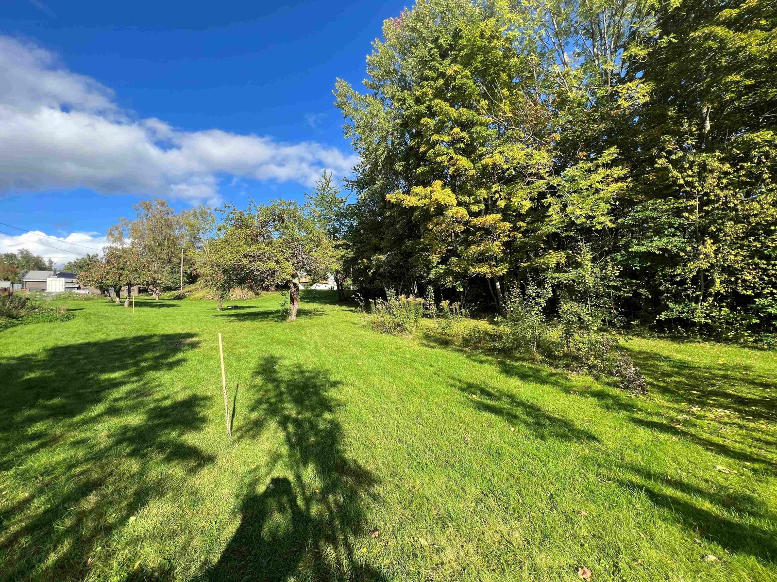 1 231 kvm boligtomt i trafikkstille blindvei på Tanum. Hjørner på tomten er midlertidig markert med med ca plassering Galleribilde