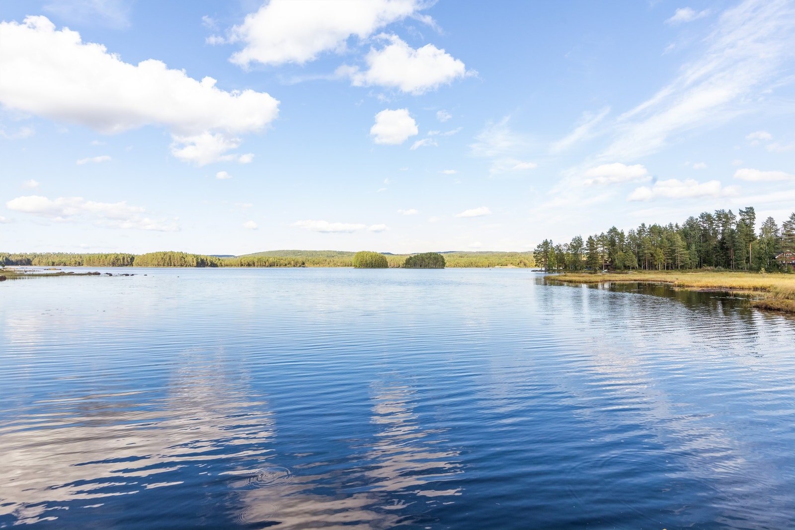 Sagstusjøen Galleribilde