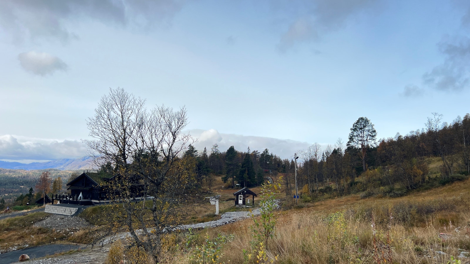 Alpin bakke rett ved tomta. Galleribilde