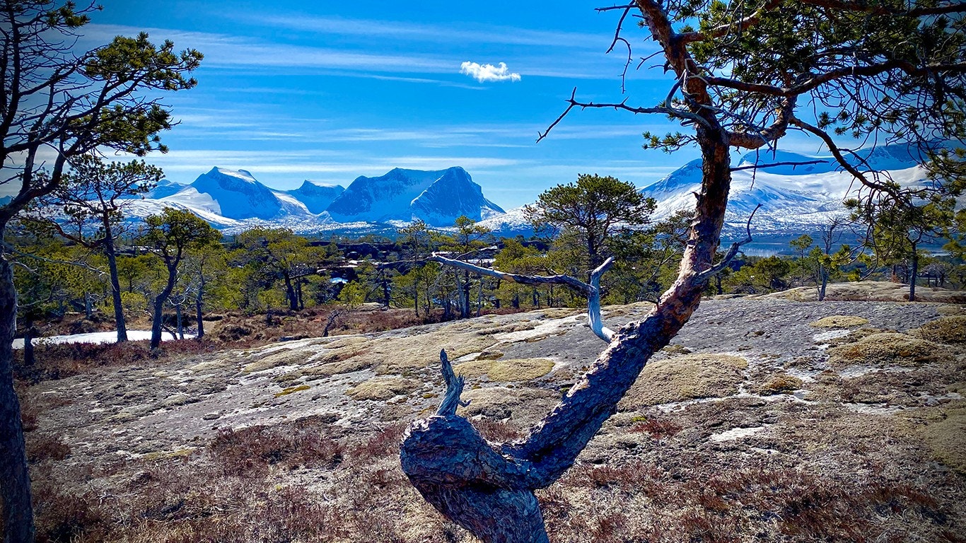 Områdebilde Galleribilde