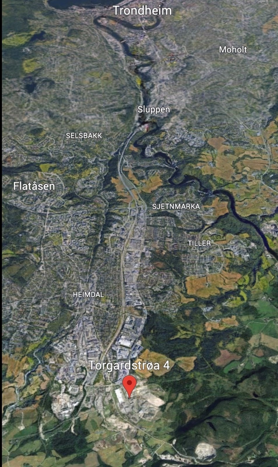 Flyfoto Galleribilde