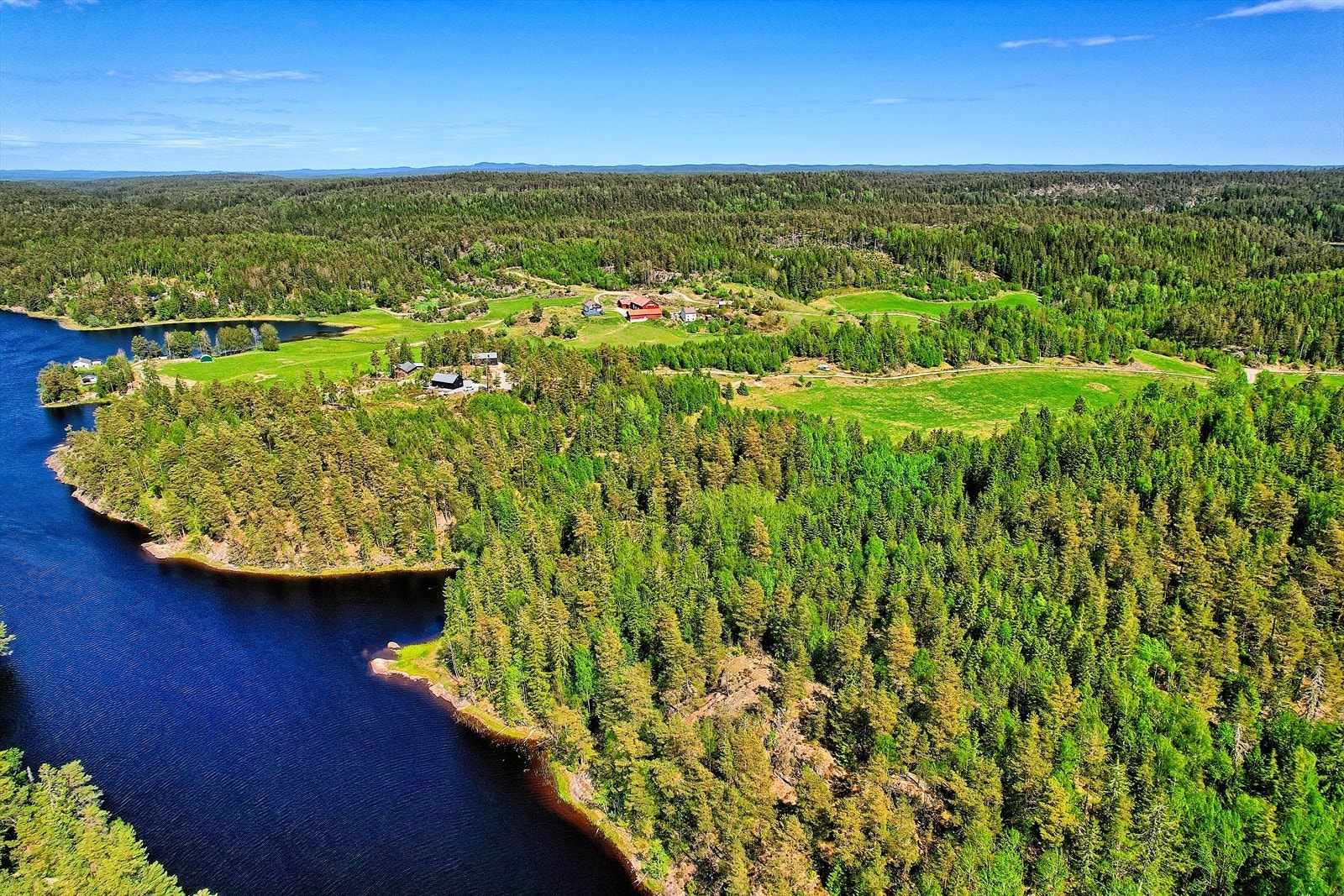 Deler av skogen på eiendommen Galleribilde