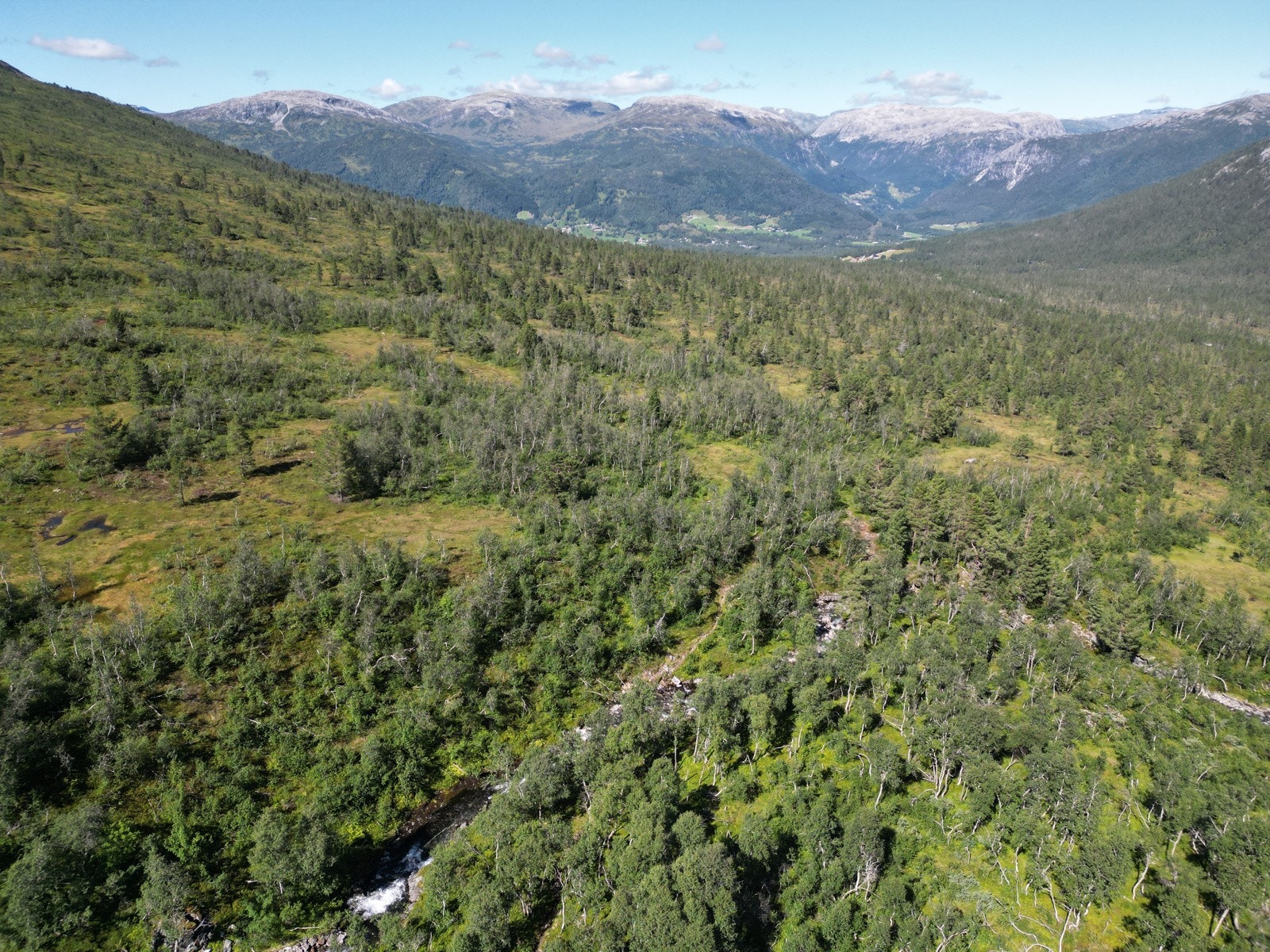 Terrenget har lett tilgjengelig topografi Galleribilde