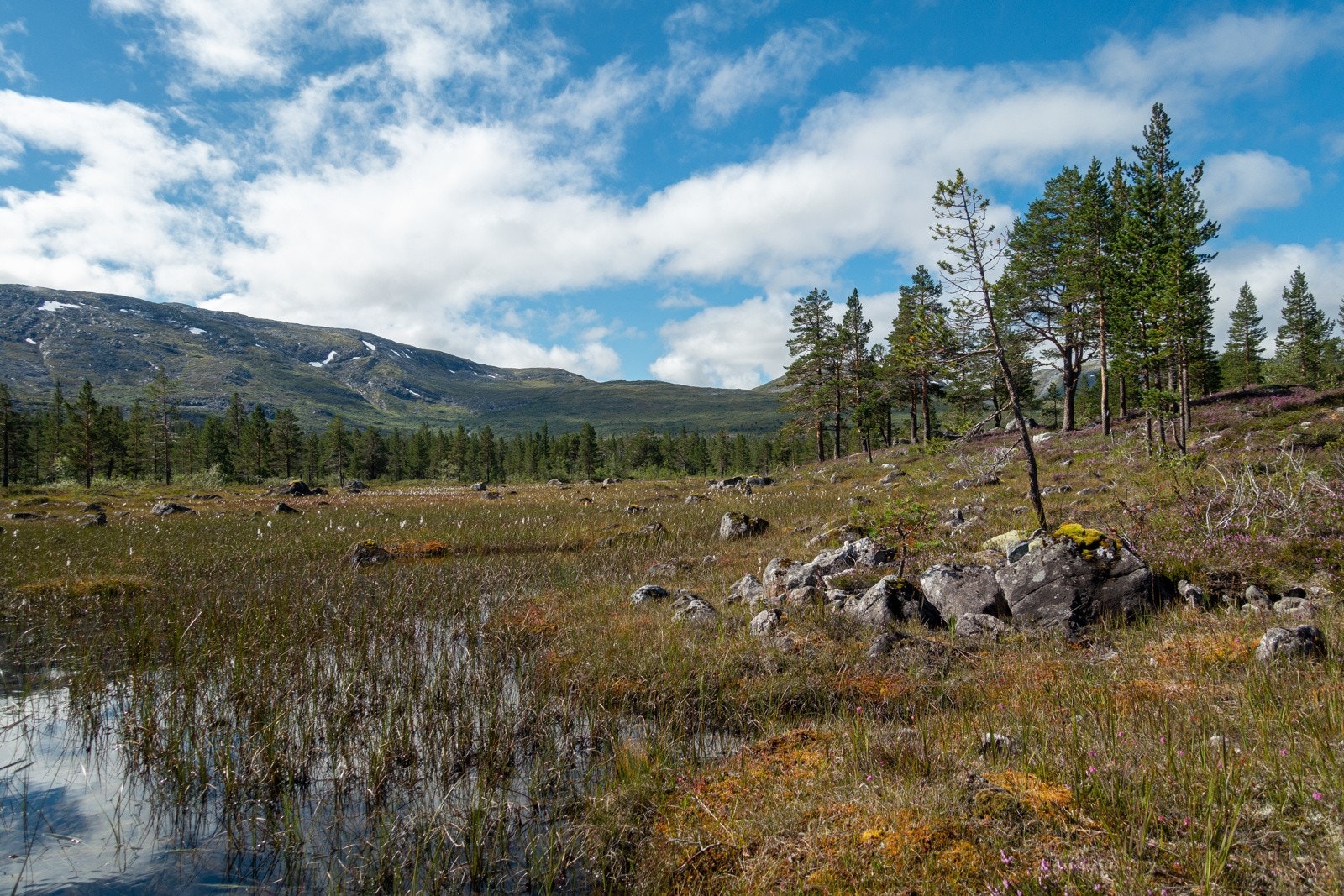 Brandset er omtalt som en av de fineste dalene i Voss herad Galleribilde