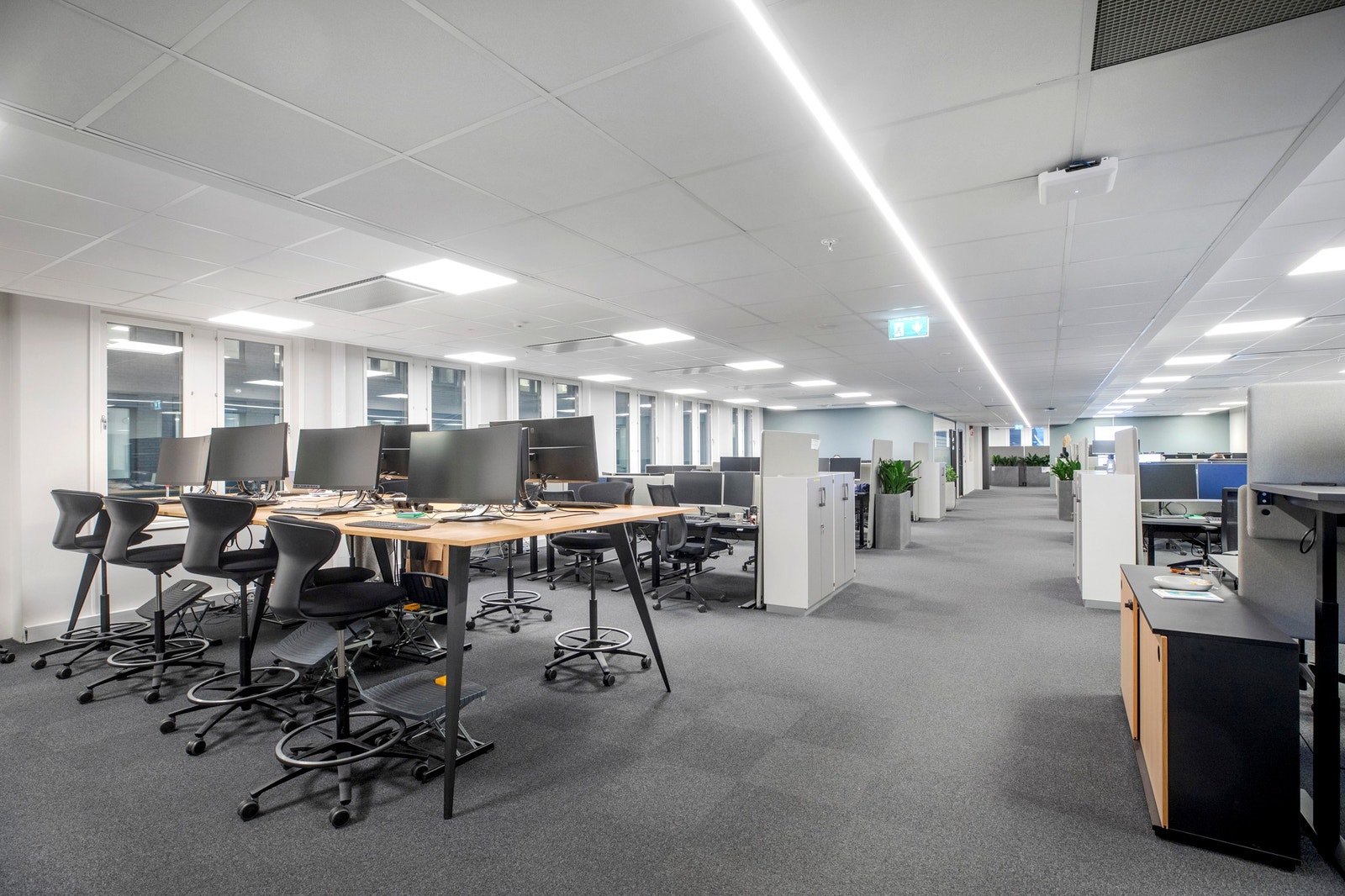 Store lyse arbeidssoner. Galleribilde