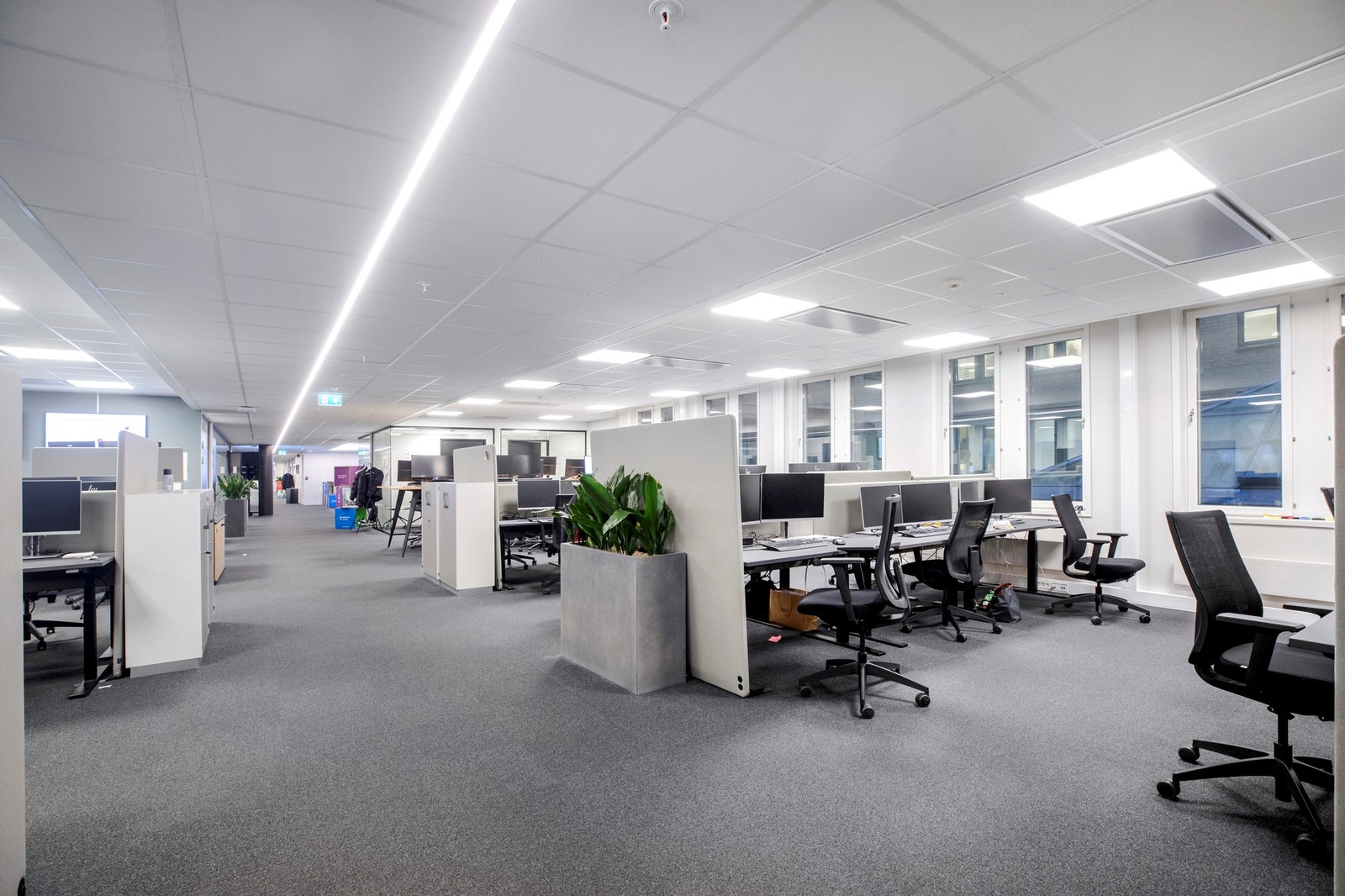 Store lyse arbeidssoner. Galleribilde