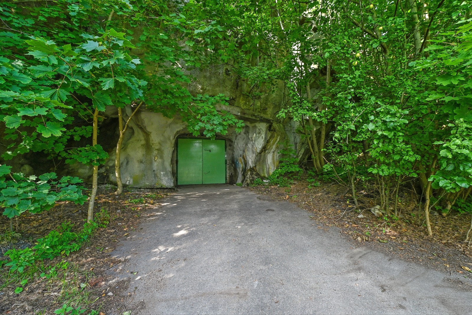 Inngang til fjellhallen Galleribilde