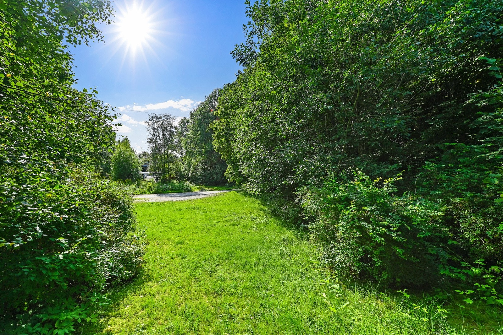 Fra øverst på tomten Galleribilde