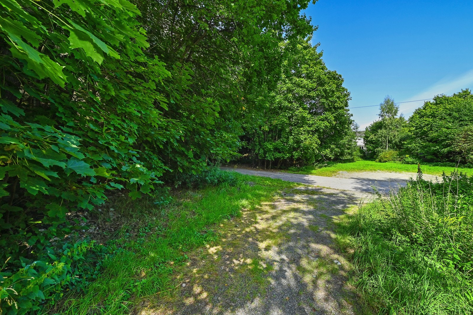 Svakt skrånende tomt Galleribilde