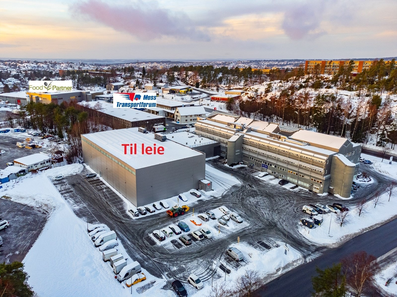 Solgaard skog mot sørvest 2.jpg Galleribilde