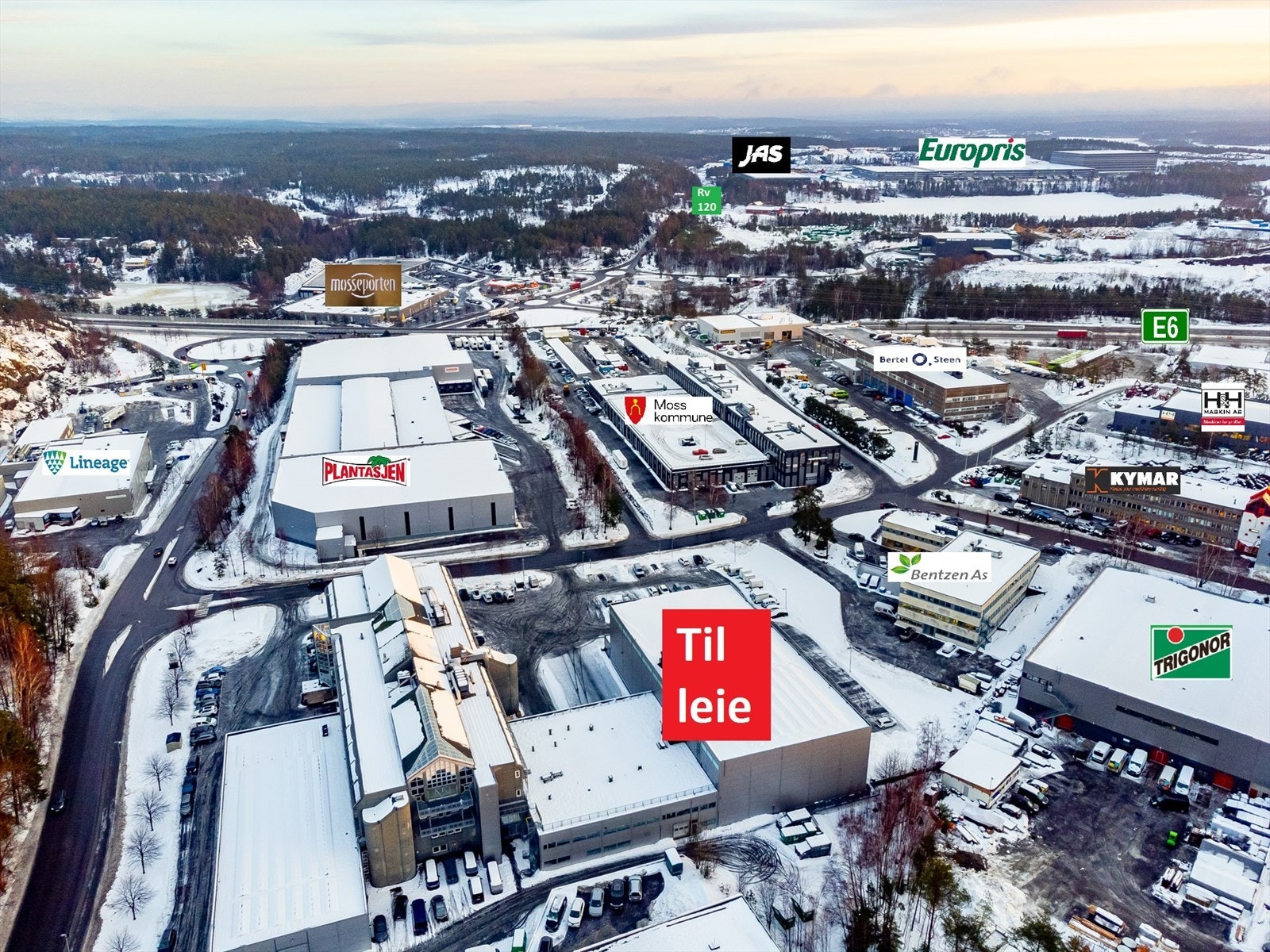 Solgaard skog mot nordøst 2.jpg Galleribilde