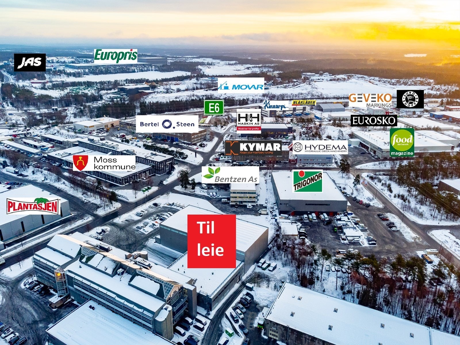Solgaard skog mot nordøst.jpg Galleribilde