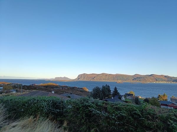 Nord-Aust Galleribilde