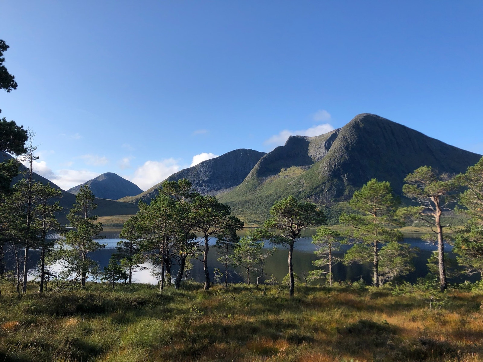 Utsikt langs diktarstien. Galleribilde