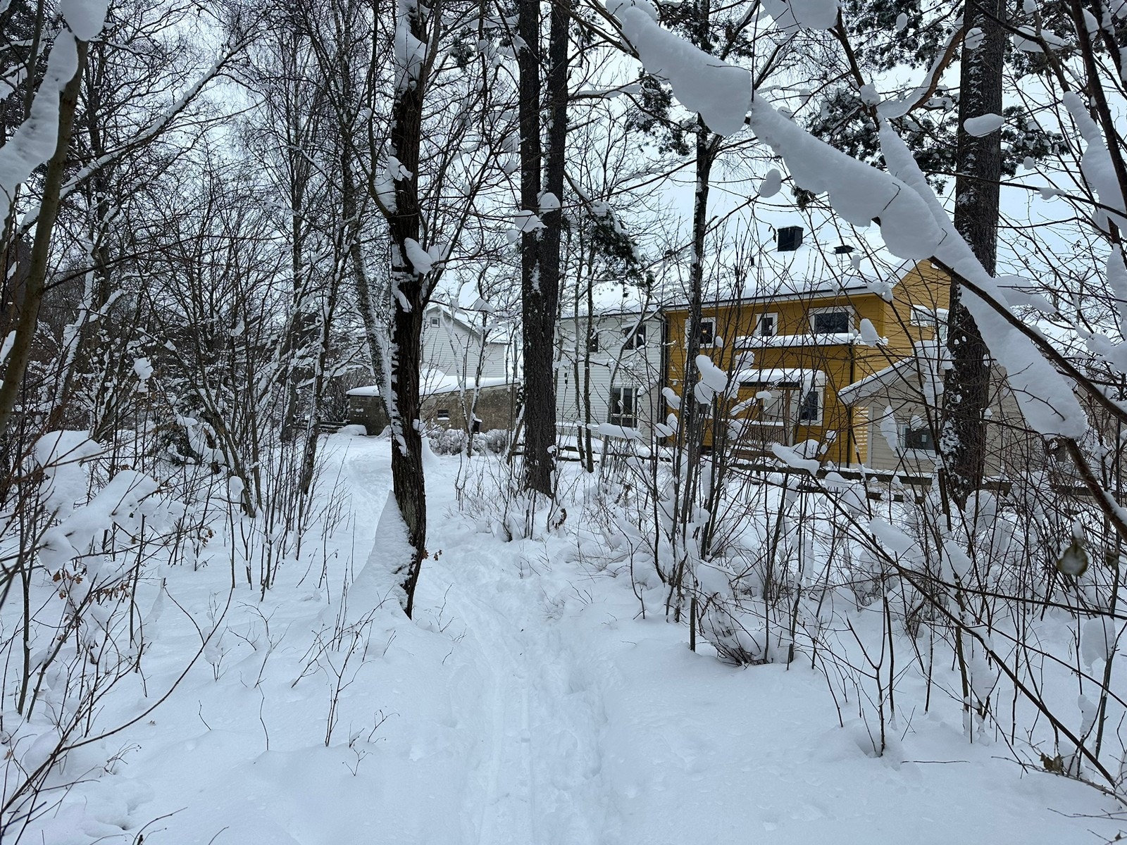 Ski in/out Galleribilde