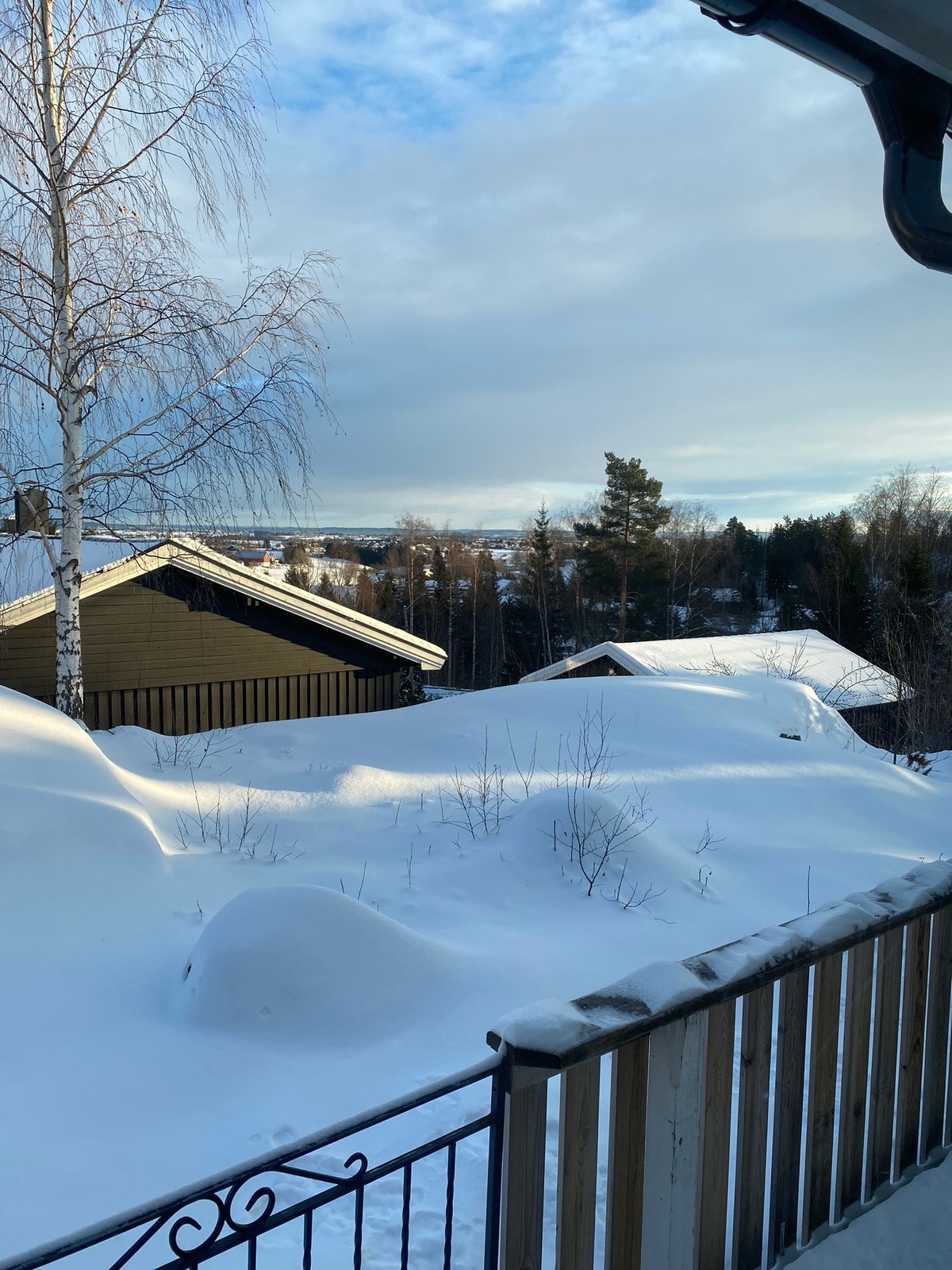 Vinterutsikt Galleribilde