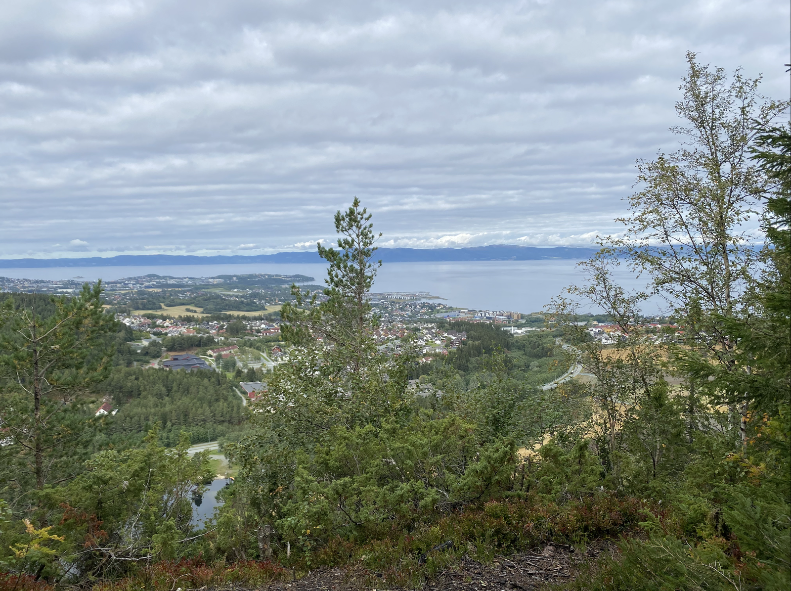 Sentral beliggenhet med marka rett utenfor døra. Nærområdet byr på flere turområder, badeplasser og utsiktspunkt. Galleribilde
