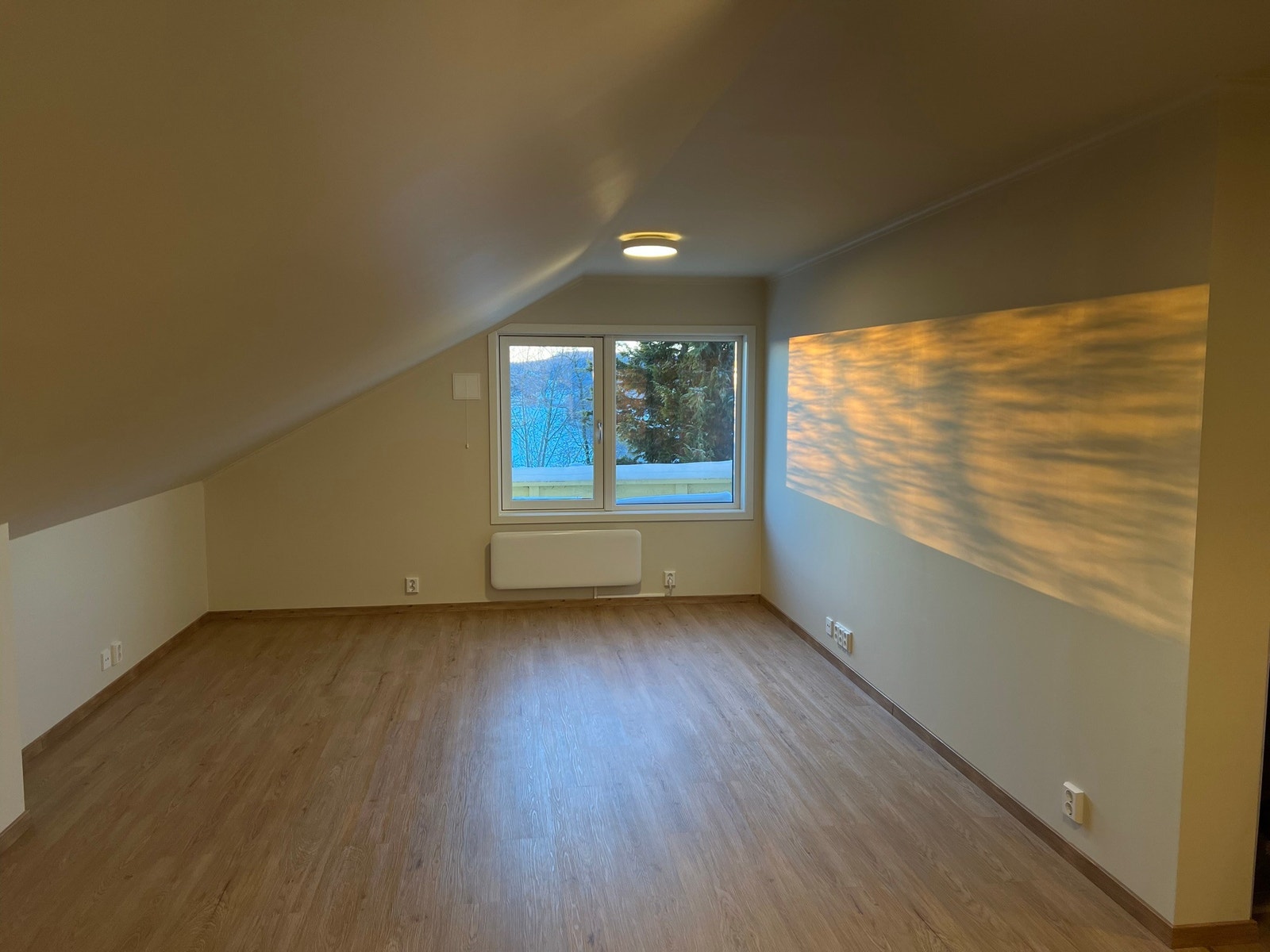 Kveldssola i stuen Galleribilde