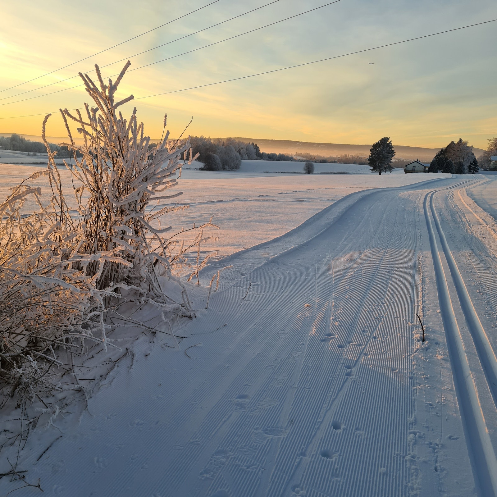 Skiløyper utenfor huset. Galleribilde