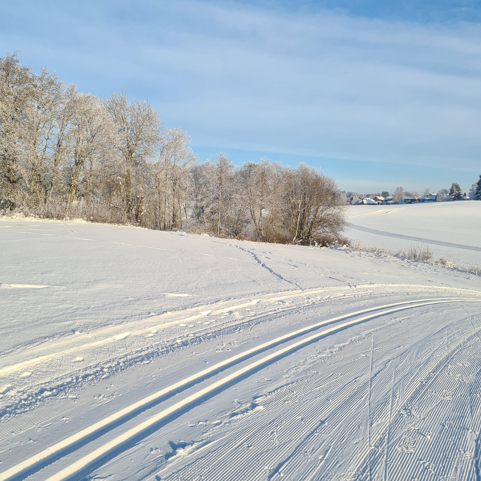 Flotte skiløyper på jordet utenfor døren. Galleribilde