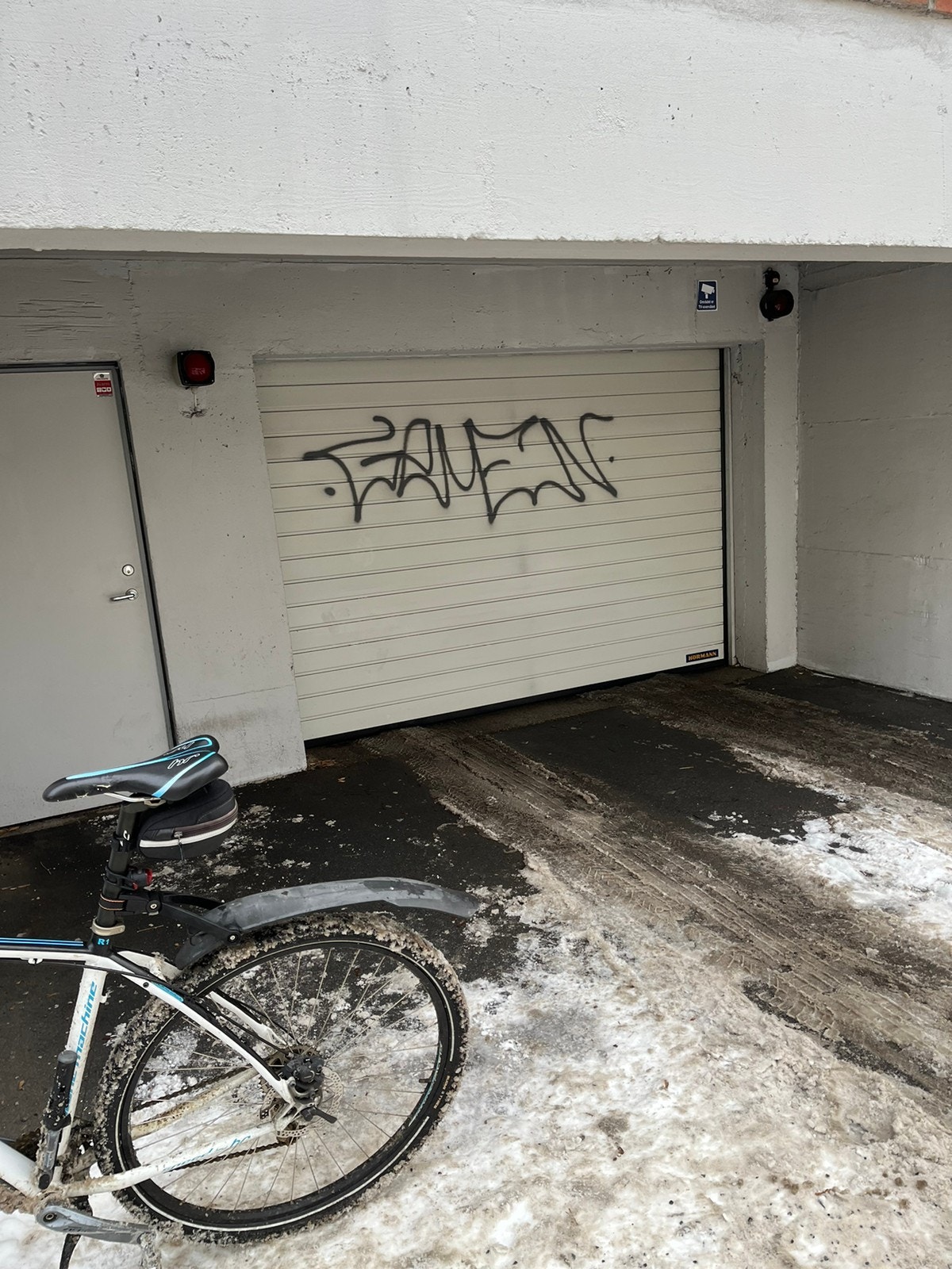 Elektrisk port Galleribilde