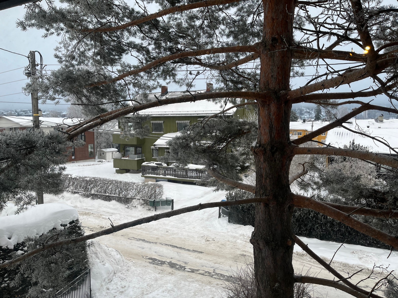 Det er to vinduer i alkoven Galleribilde