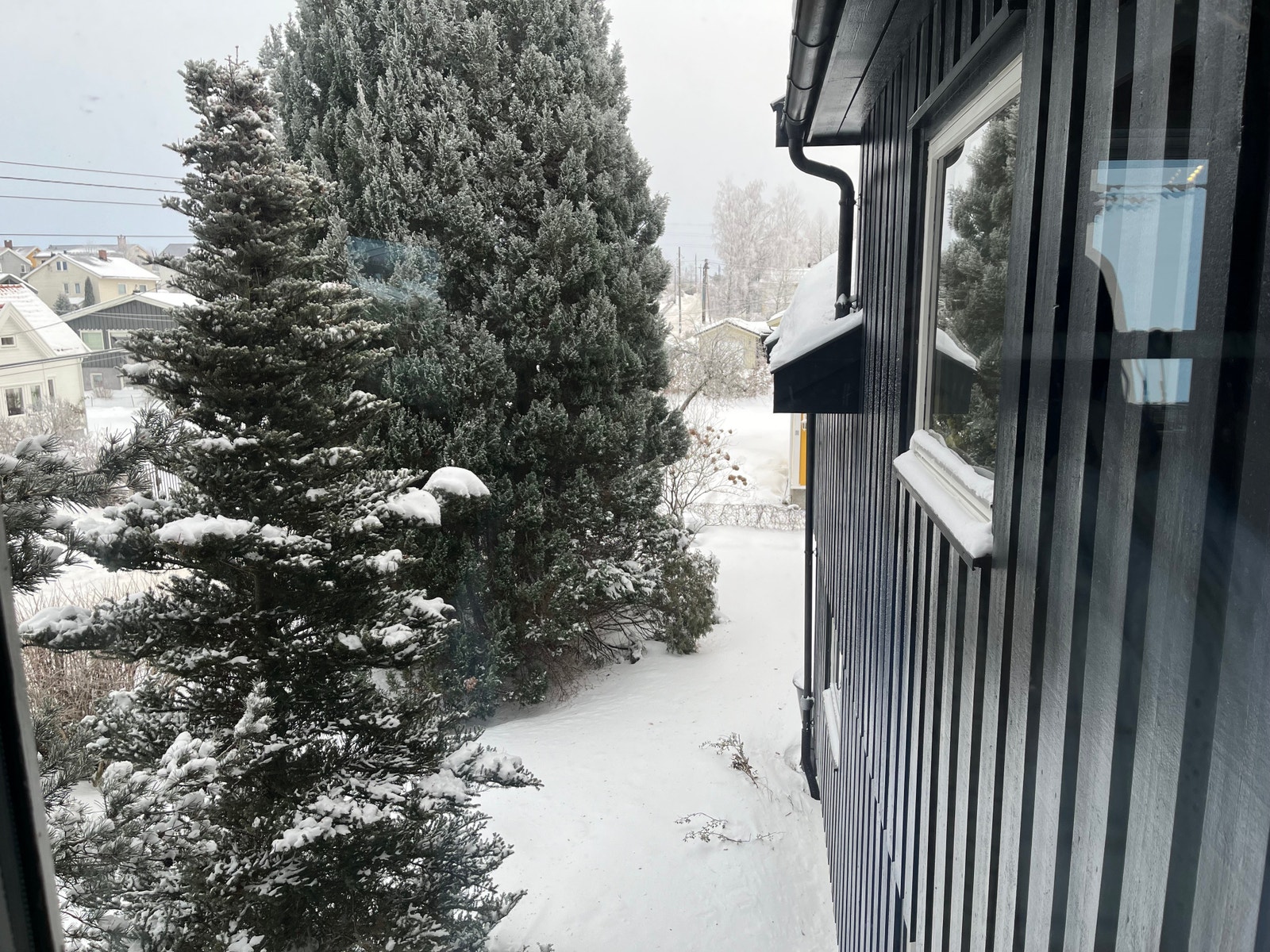 Utsikt fra alkove Galleribilde