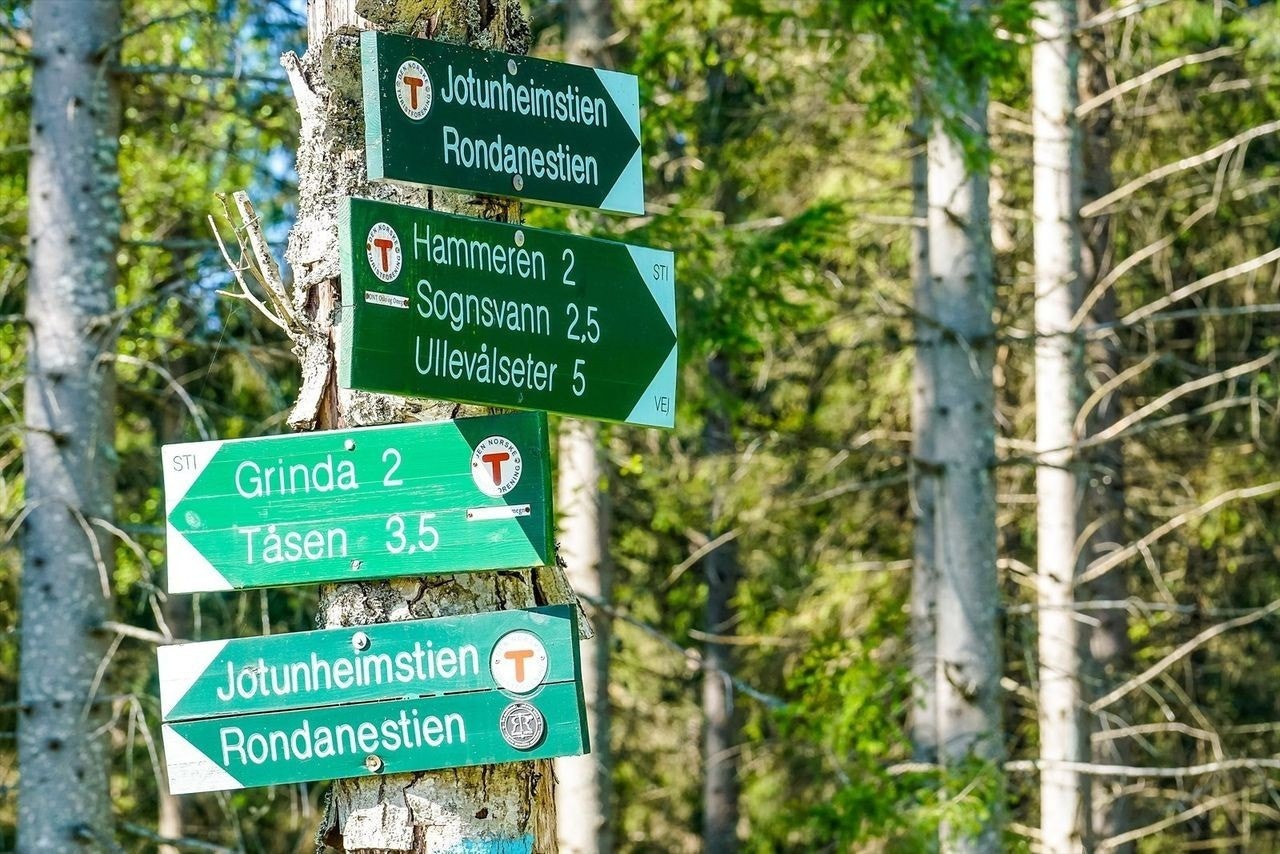 Fine turmuligheter i nærheten, blant annet til Grefsenkollen. Enkelt å komme seg med kollektivt til feks. Solemskogen eller Maridalen også for flere turmuligheter. Galleribilde