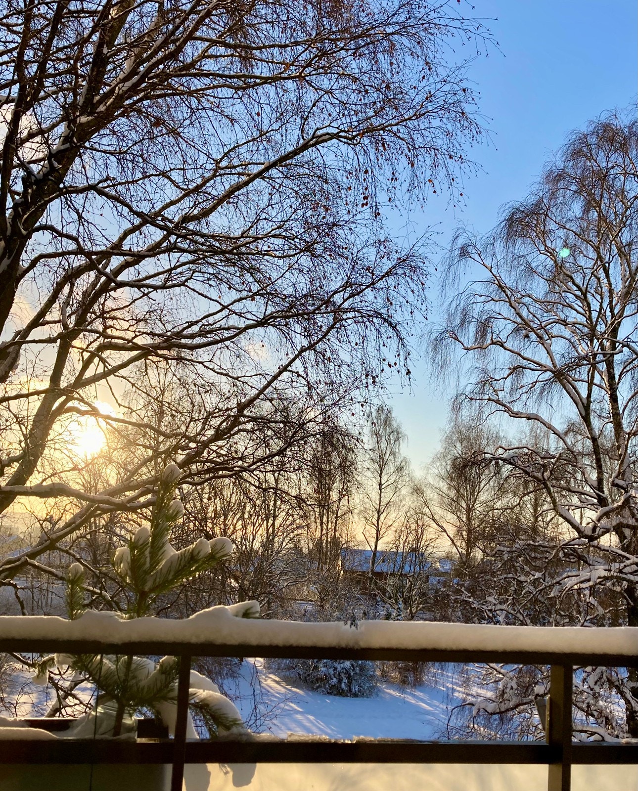 Utsikt fra balkong Galleribilde