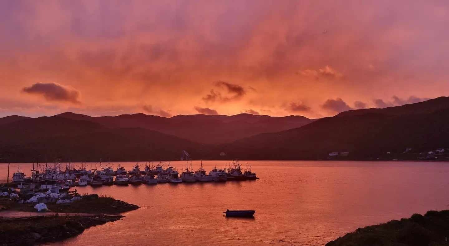 Utsikt fra stuevinduet Galleribilde