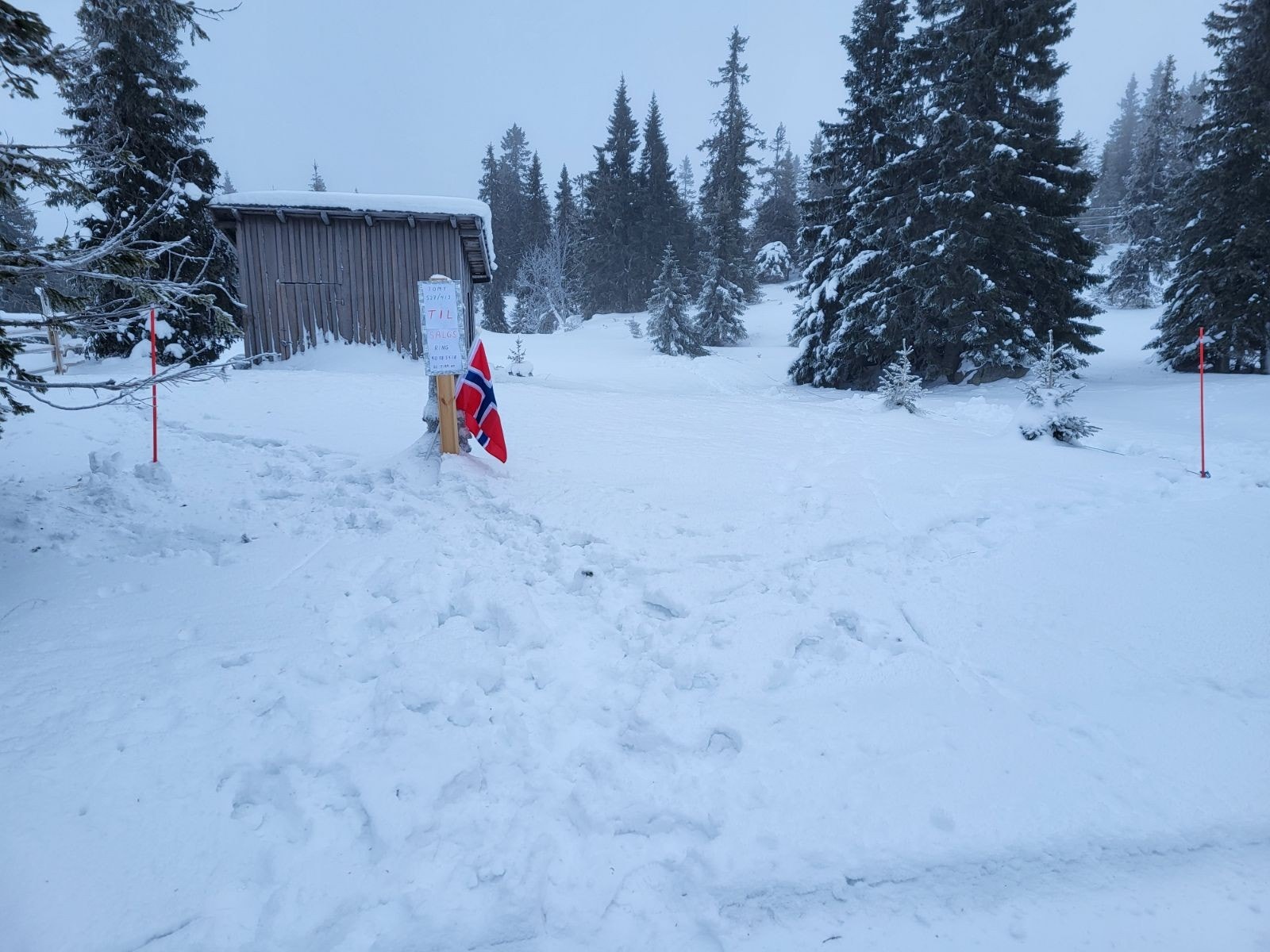 Bilde fra vei i nord Galleribilde