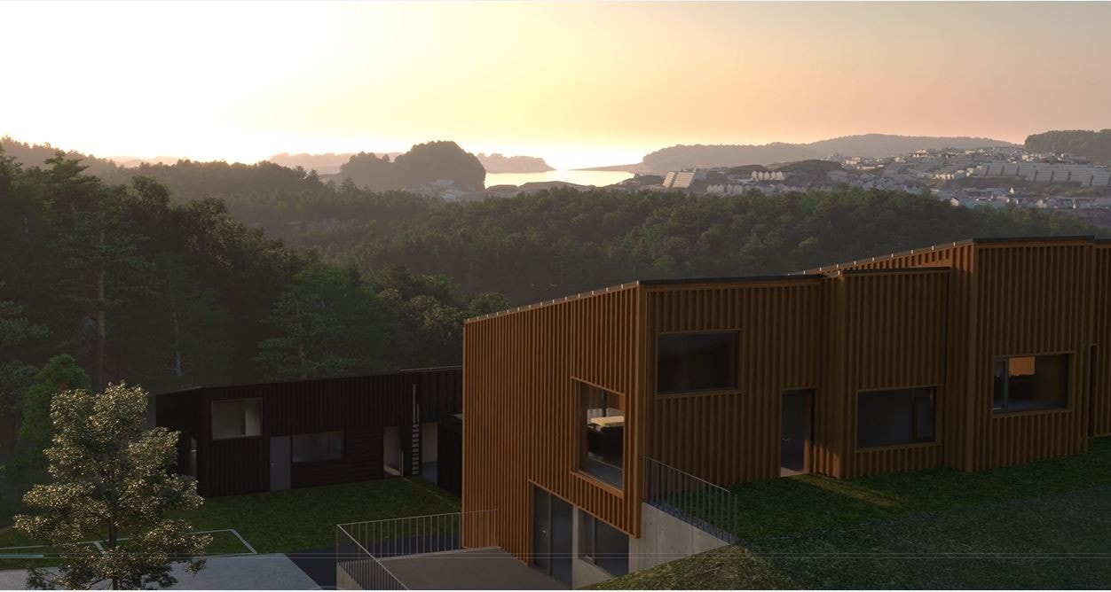 Høyt og fritt med flott utsikt (illustrasjon) Galleribilde