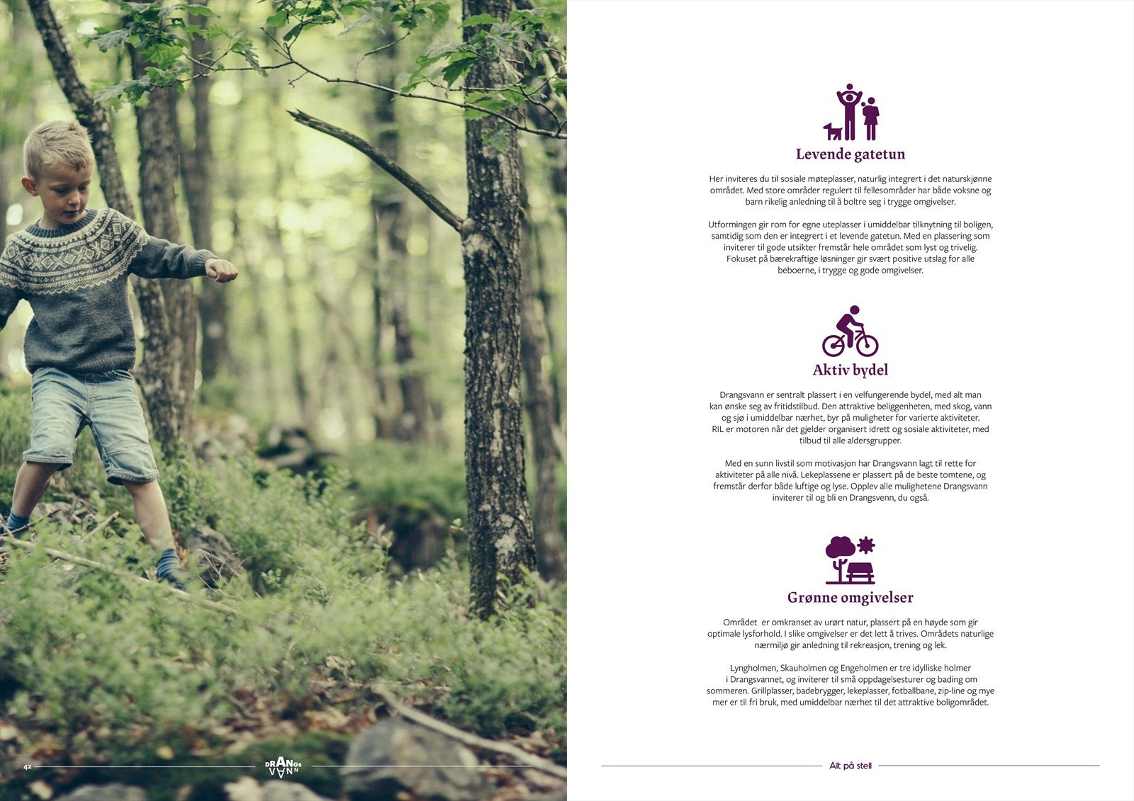 Drangsvann Galleribilde