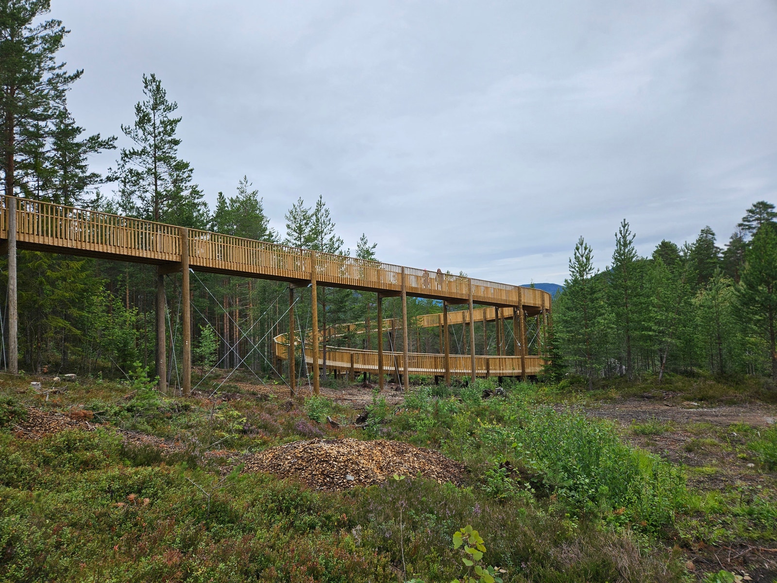 Tretoppvegen i Fyresdal sentrum må oppleves Galleribilde