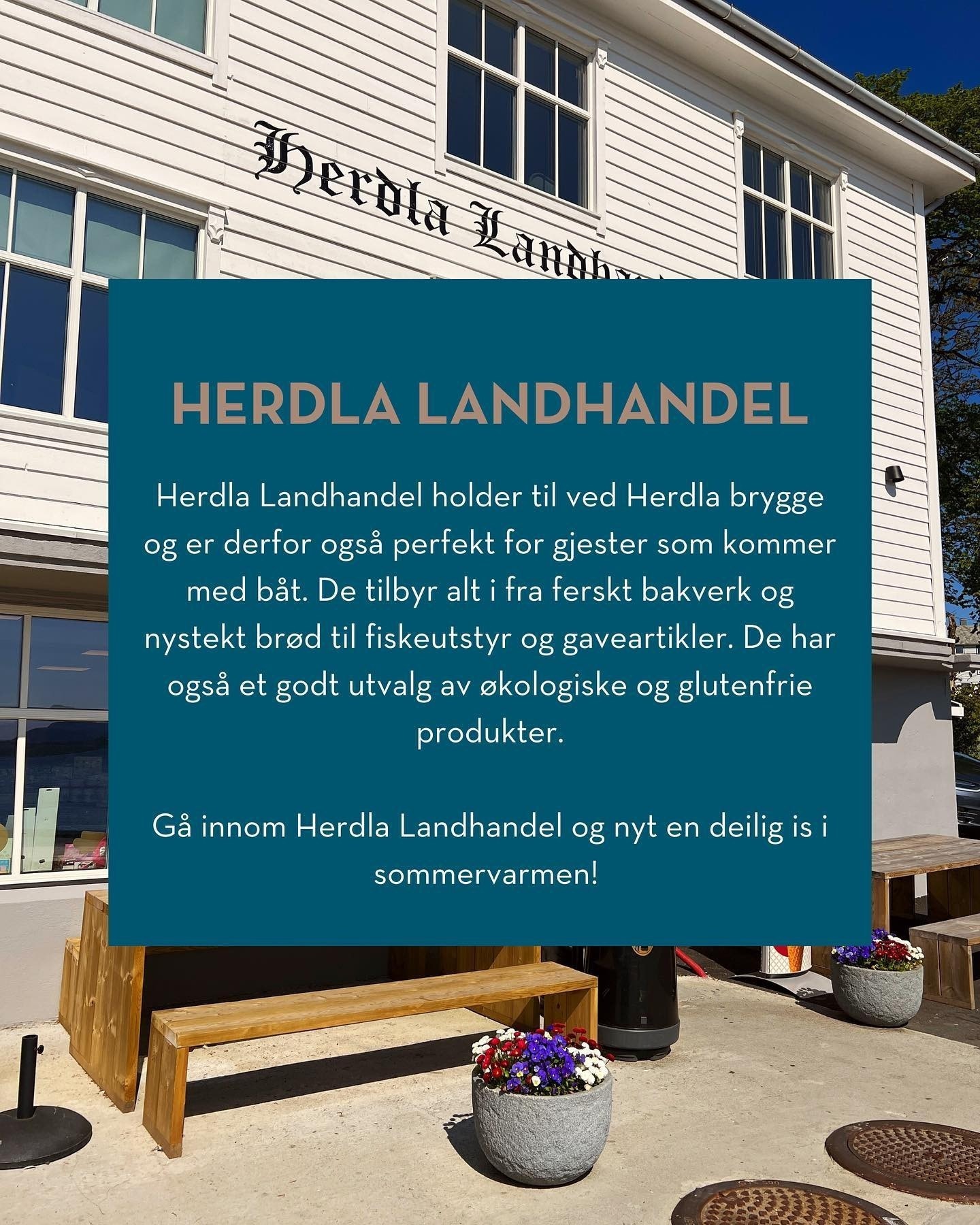 Koselig nærhandel! Galleribilde