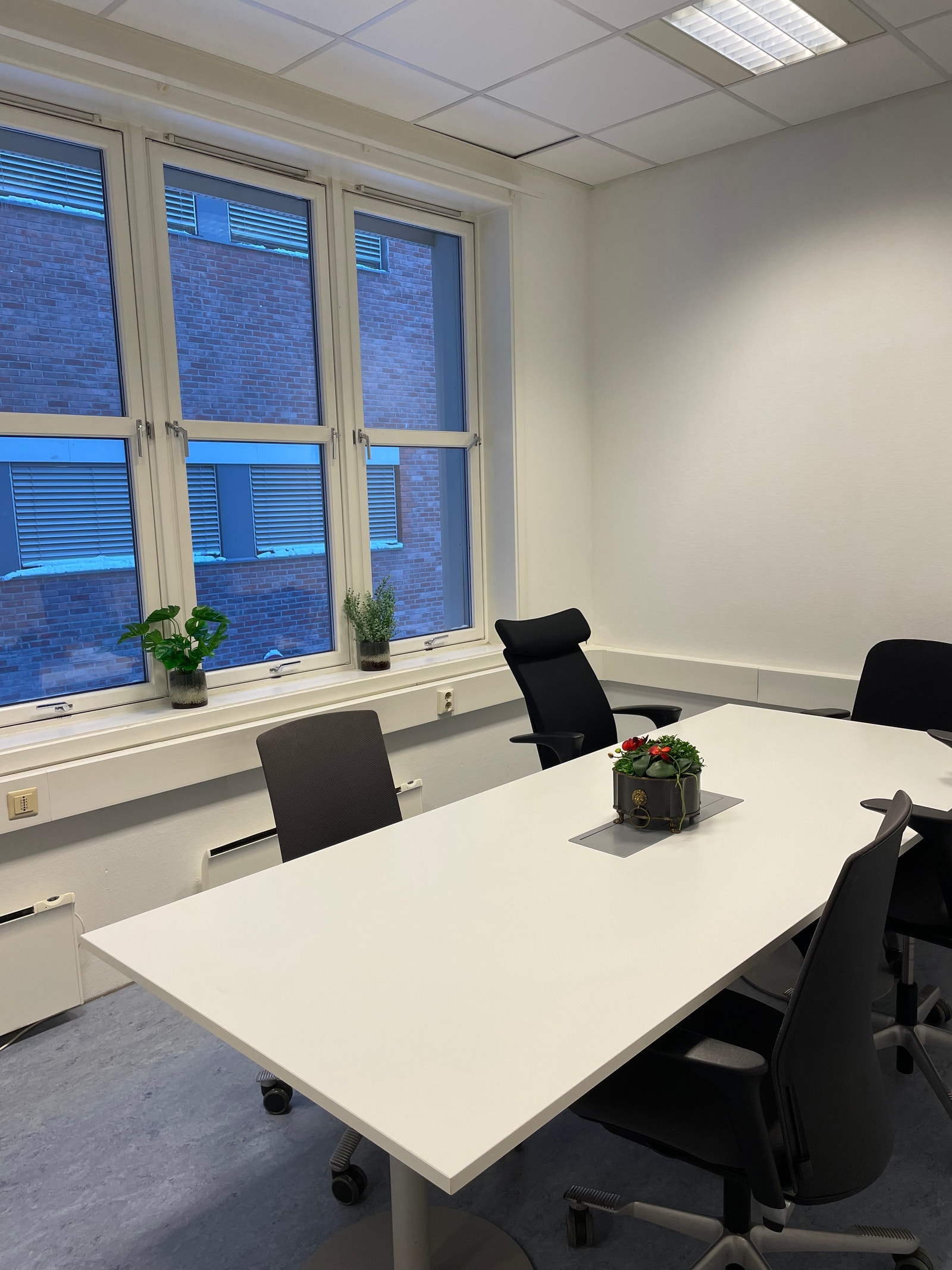 Rom 2 (til utleie) Galleribilde