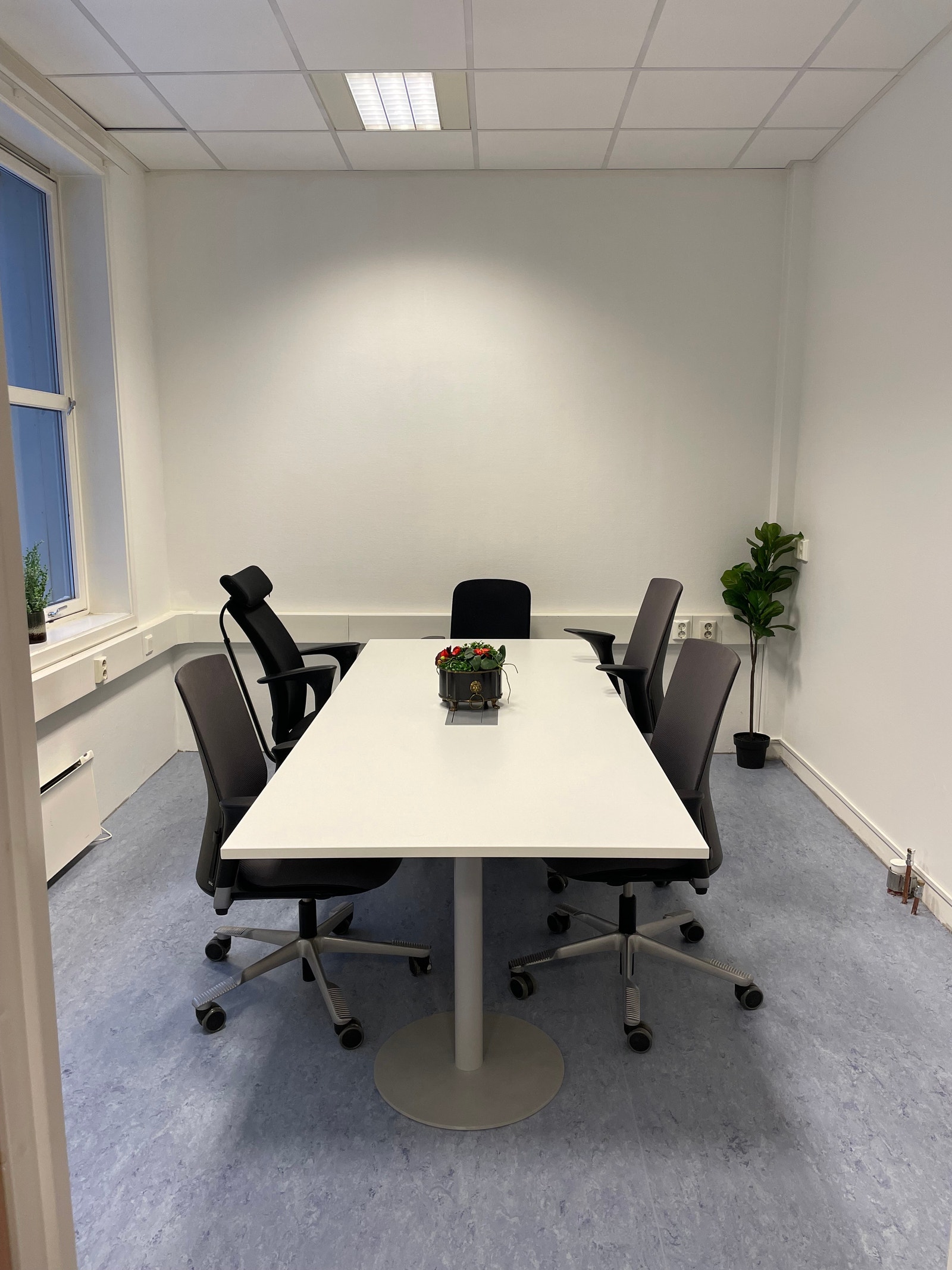 Rom 2 (til utleie) Galleribilde