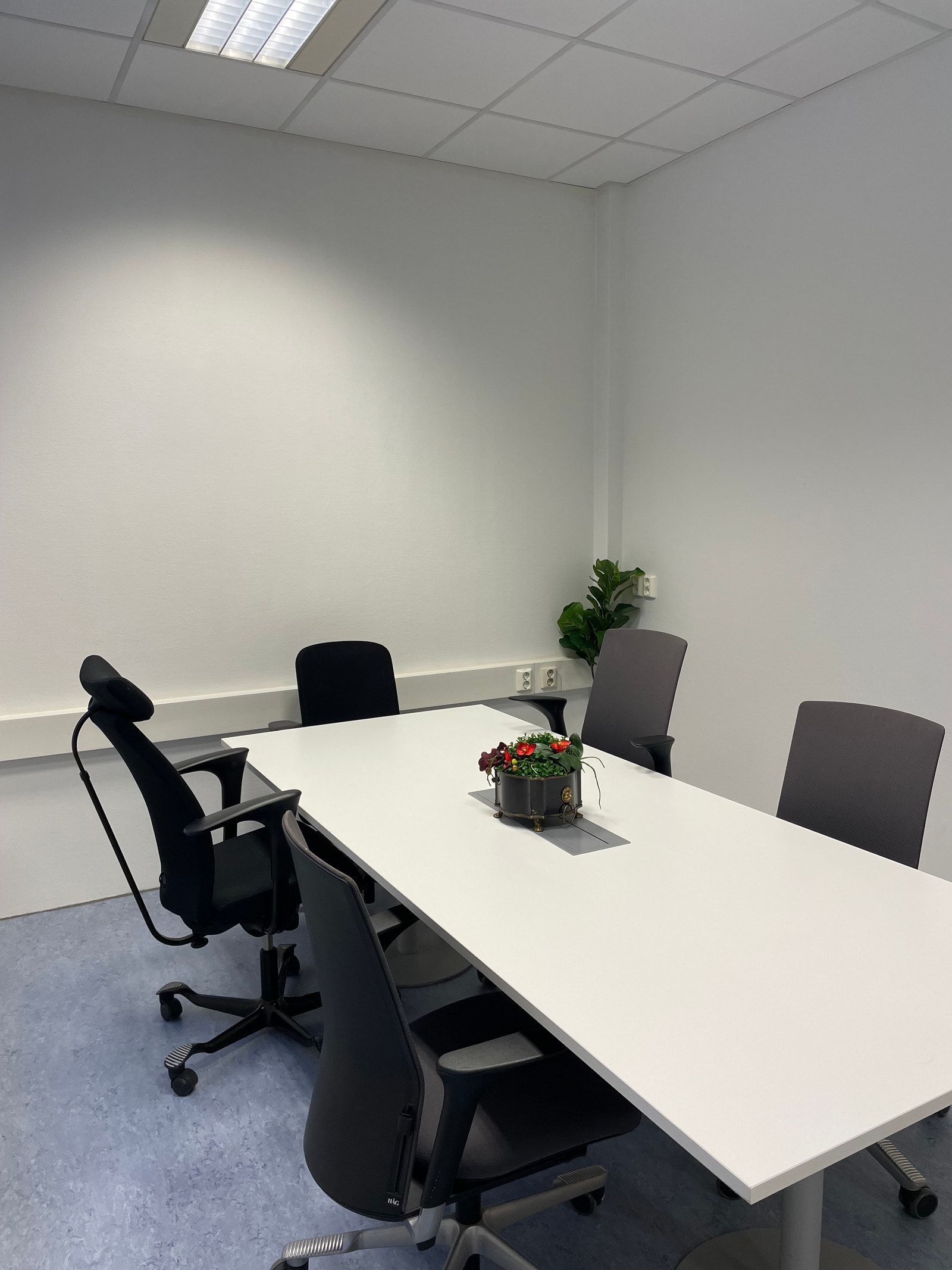 Rom 2 (til utleie) Galleribilde