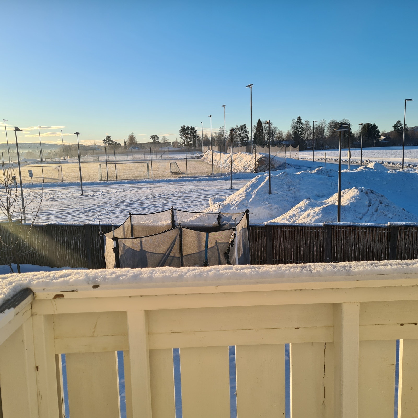 Utsikt retning "Hilton" skogen Galleribilde